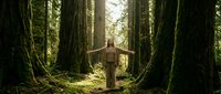 Young woman with arms outstretched standing among towering moss-covered tree trunks in ancient forest. Sunlight filters through canopy creating magical atmosphere.