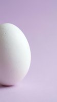 White egg on soft purple background with copy space for Easter holiday and spring celebration concepts.