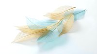 Delicate translucent feathers in soft blue and golden yellow tones floating on white background, isolated for creative design projects.