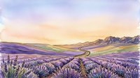 Winding road through expansive lavender fields at golden hour, rolling hills and mountains in distance, serene countryside landscape for travel and nature designs.