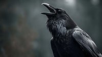 Black raven with open beak against blurred dark forest background, symbolizing mystery and wildlife in natural habitat.