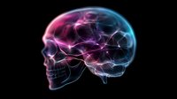 Glowing x-ray skull profile with colorful neon effect showing brain anatomy against black background, medical science visualization for healthcare and neurology concepts.