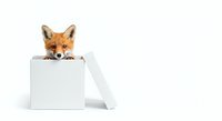 Curious red fox peeking out from white open box on isolated background, suitable for marketing, advertising, and creative design projects.