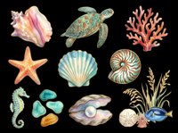 Watercolor ocean life collection featuring sea turtle, starfish, seashells, seahorse, coral, pearl, and tropical fish isolated on transparent background. Ready for t-shirt design, clipart, stickers, sublimation, and print-on-demand projects.