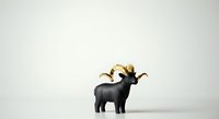 Black elephant figurine wearing golden crown isolated on white background, suitable for luxury branding, wealth concepts, and decorative design projects.