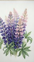 Watercolor lupine flowers in purple and pink hues with green leaves on textured paper background for botanical art and spring garden designs.
