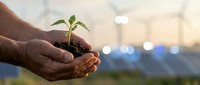 Close-up of hands holding young seedling with solar panels blurred in background, representing renewable energy, sustainability, and environmental conservation efforts.
