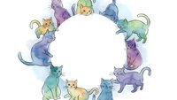 Colorful watercolor cats arranged in circle frame on white background, isolated design element for pet themed projects and creative layouts.