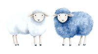 Watercolor sheep pair in white and blue with cute smiling faces, gentle nursery art style on white background, isolated design element for baby decor.