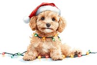 Adorable Cavapoo puppy wearing Santa hat and festive collar, tangled in colorful Christmas lights against white background, isolated for holiday designs.