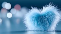 Soft fluffy heart shape in turquoise blue and white on blurred bokeh background. Gentle romantic composition with delicate feathers and dreamy atmosphere.