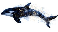 Mystical orca silhouette filled with starry night sky, golden sparkles and crescent moons on watercolor splash background, marine fantasy art for wall decor.