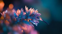 Vibrant coral and turquoise plant stems with delicate leaves against blurred bokeh background, creating dreamy macro nature photography effect for wall art and greeting cards.