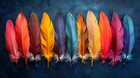Vibrant multicolored feathers arranged in row on dark textured background, featuring red, yellow, turquoise, orange and purple plumes for creative design projects.