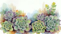 Watercolor succulent plants arrangement with soft pastel colors on white background for botanical art, home decor and garden design projects.