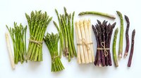 Fresh asparagus spears in green, white and purple varieties bundled with twine on white background isolated for culinary design and healthy cooking concepts.