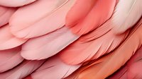 Soft coral and pink feathers creating gentle layered texture, abstract natural background with delicate overlapping plumage in pastel tones.