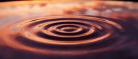 Concentric ripples spread across liquid surface creating mesmerizing circular waves in warm golden and orange tones with smooth reflective texture.