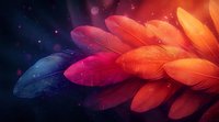 Vibrant glowing feathers in orange, pink and blue tones against dark background with bokeh lights and magical sparkles create dreamy atmospheric composition.