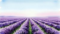 Endless rows of blooming lavender fields stretch toward horizon under soft pastel sky creating peaceful agricultural landscape for aromatherapy and wellness.