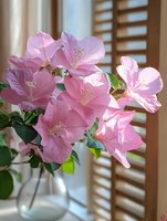 Pink bougainvillea flowers in sunlight near wooden shutters, delicate petals with visible stamens, indoor botanical arrangement for home decor and nature themes.