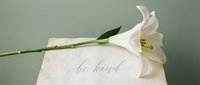 White lily resting on aged paper with elegant be kind calligraphy script, soft sage green background, mindfulness and kindness concept.