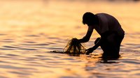 Silhouette of young woman flipping wet hair in water during golden sunset, creating dramatic splash effect against orange sky. Artistic summer lifestyle moment.