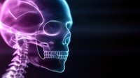 Glowing x-ray skull visualization in neon pink and blue colors on dark background shows detailed bone structure and spine anatomy for medical concept design.
