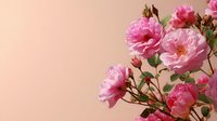 Delicate pink roses with buds against soft peach background, creating romantic atmosphere for wedding invitations, greeting cards, and floral designs.
