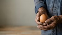 Senior male farmer with weathered hands holding fresh brown egg, wearing denim shirt. Suitable for agriculture, farming, organic food, and rural lifestyle content.