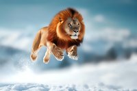 Majestic male lion with flowing mane leaping through snowy winter landscape against blue sky background, creating surreal and powerful wildlife fantasy scene.