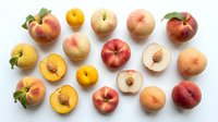 Assorted fresh peaches and nectarines arranged overhead on white background, showing whole fruits and cross-sections with pits visible for food, nutrition, and culinary design projects.