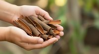 Close-up of hands holding dried brown leaves and natural materials outdoors, representing nature conservation, environmental awareness, and sustainable living practices.