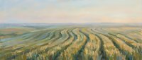 Aerial view of vast agricultural fields with parallel crop rows creating geometric patterns across rolling countryside landscape during harvest season.