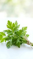 Fresh parsley bunch with vibrant green leaves isolated on white background, suitable for culinary, cooking, and food styling projects.