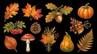Autumn leaves, acorns, pinecones, pumpkins, gourds, mushrooms, berries, and ferns isolated on transparent background. Ready for fall designs, t-shirts, clipart, stickers, sublimation, and print-on-demand projects.