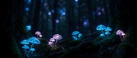 Glowing bioluminescent mushrooms in dark enchanted forest creating magical fairy tale atmosphere with blue and pink neon lights among moss and tree roots.