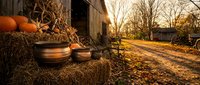 Rustic autumn farm scene with ceramic pottery, pumpkins and hay bales in golden sunset light creating warm seasonal atmosphere for harvest decorating projects.