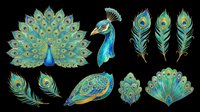 Elegant peacock clipart set with spread tail, feathers, and fan elements in teal and gold, isolated on transparent background, ready for stickers, t-shirt design, and print on demand.