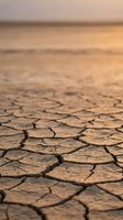 Cracked dry earth surface with deep fissures in arid desert landscape during golden hour sunset showing severe drought conditions and climate change effects.