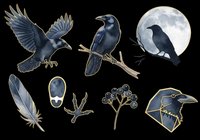Crow and raven isolated design elements on transparent background. Black birds, feathers, berries, and moon silhouettes ready for t-shirt designs, clipart, stickers, and print-on-demand projects.