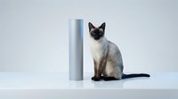 Siamese cat sitting beside a sleek silver cylinder on a white surface, showcasing elegance and minimalist style for pet and product design concepts.