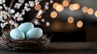 Robin eggs nestled in natural twigs nest against dark wooden background with soft golden bokeh lights creating magical spring atmosphere.