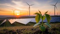 Green plant seedling growing in soil with solar panels and wind turbines at sunset, symbolizing renewable energy and environmental sustainability.