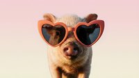 Adorable pig wearing heart-shaped sunglasses on pink background, funny farm animal portrait for social media, greeting cards, and humorous designs.
