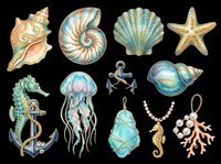 Seashells, starfish, jellyfish, seahorse, and anchor isolated on transparent background. Ready for t-shirt designs, clipart, stickers, sublimation, and print-on-demand products.