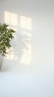 Minimalist interior with potted green plant casting natural shadows on white wall from bright window light, creating serene ambiance for design projects.