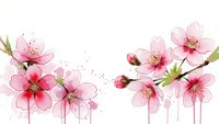 Pink cherry blossom flowers with delicate petals and buds on branches, spring floral design elements isolated on transparent background for decoration.