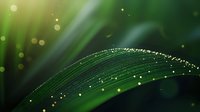Curved green palm leaf with morning dew drops catching golden sunlight against dark background creates magical natural bokeh effect and dreamy atmosphere.