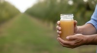 Hands holding glass jar of fresh apple juice or cider in orchard setting, agricultural harvest and organic beverage concept for food and drink marketing.